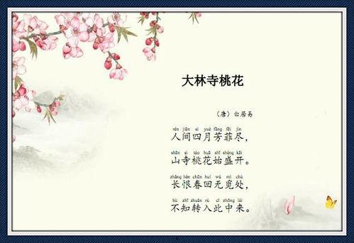 无处寻觅,无处寻觅的传奇之旅