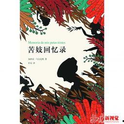 苦妓追忆录,尘封往事中的爱与救赎