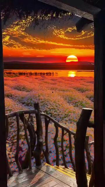 爱意随风起落,一段飘渺的情感旅程